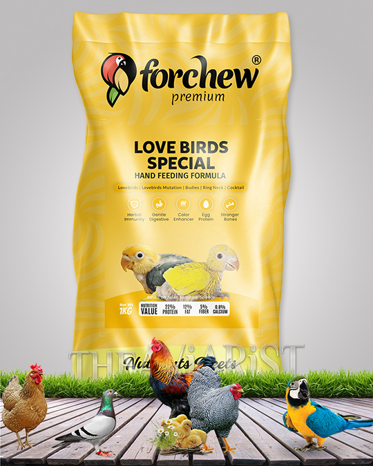 Forchew-Lovebirds-Special-Hand-Feeding Formula