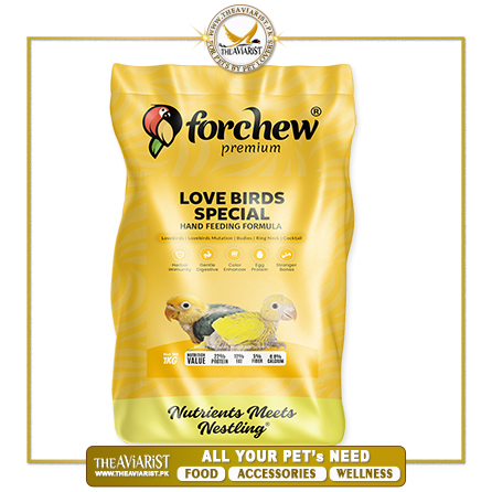 Forchew-Premium-Lovebird-Special-Hand-Feed Forchew-Premium-Lovebird-Special-Hand-Feed
