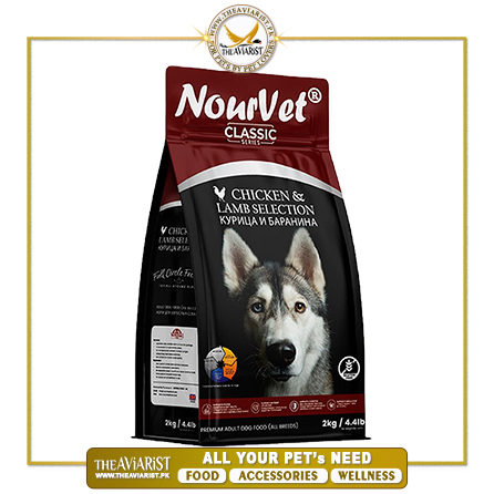 NourVet-Classic-Dog-Food