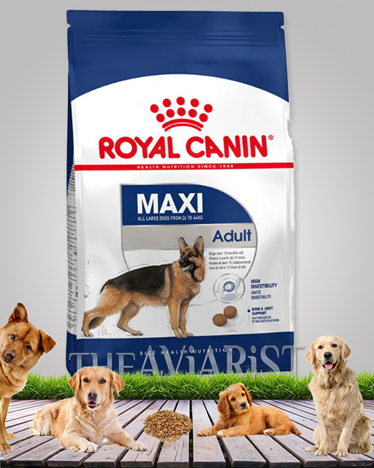 Royal Canin Maxi Adult Dog Food For Large breed