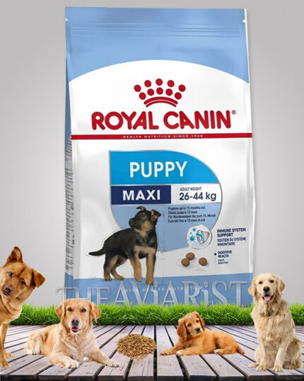 Royal Canin Puppy Maxi 26-44 Kg Dog Food