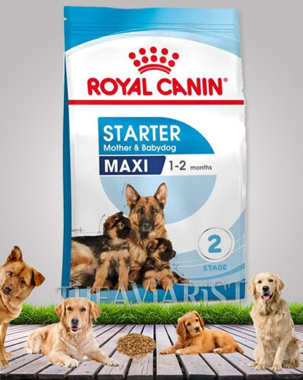 Royal Canin Starter Mother And BabyDog Maxi Stage 2 Dog Food