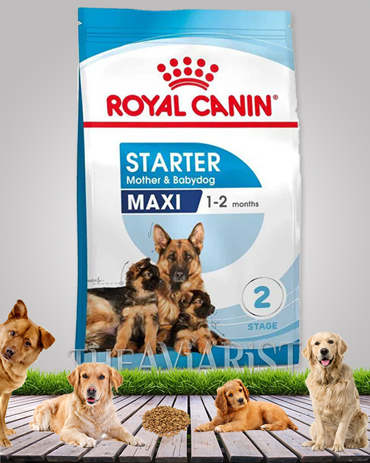 Royal Canin Starter Mother And BabyDog Maxi Stage 2 Dog Food