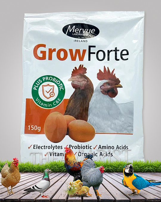 grow-fort Multi Vitamin for Birds