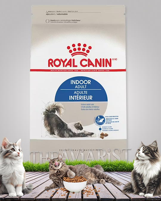 royal canin indoor adult cat food
