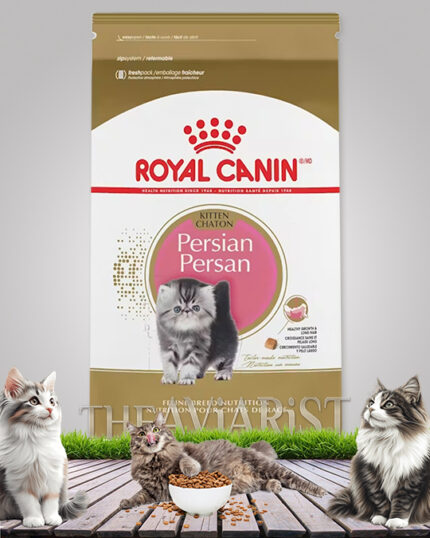 royal canin kitten chaton persian cat food