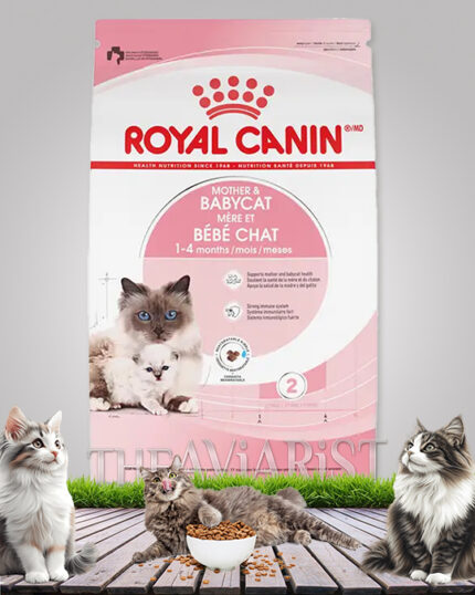 royal canin mother and baby cat food