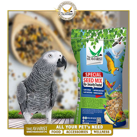 The Aviarist - African Grey (CAG) Special Seed Mix