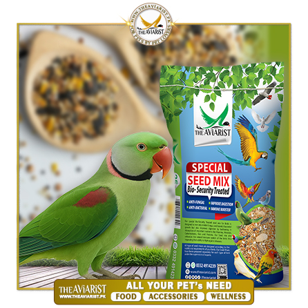 The Aviarist - Alexandrian Raw Special Seed Mix The Aviarist - Alexandrian Raw Special Seed Mix