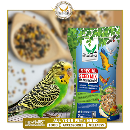 The Aviarist - Budgerigar Special Seed Mix