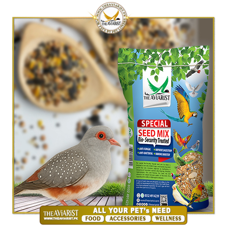 The Aviarist - Diamond Dove Special Seed Mix