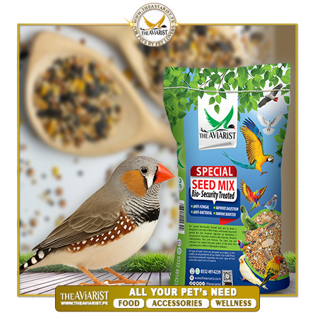 The Aviarist - Finch Special Seed Mix