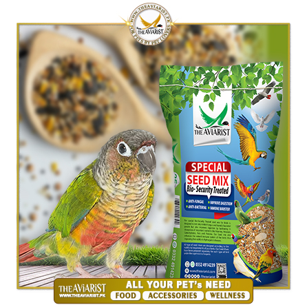 The Aviarist - Green Cheek Conure Special Seed Mix