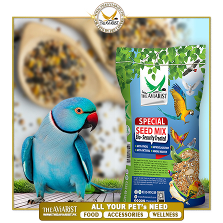 The Aviarist - Indian Ringneck Special Seed Mix