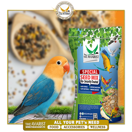 The Aviarist-Special Seed-Mix-Lovebird
