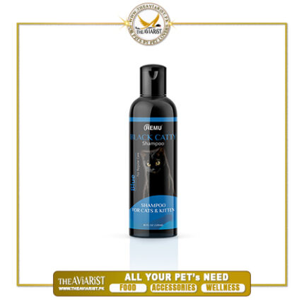 Black-Catty-Blue-Shampoo-320ml