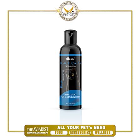 Black-Catty-Blue-Shampoo-320ml