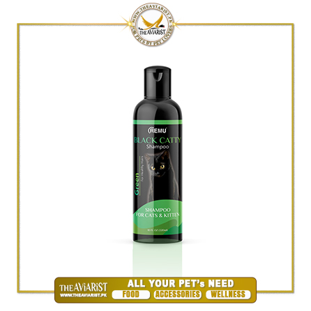 Black-Catty-Green-Shampoo-320ml