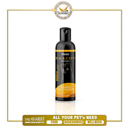 Black-Catty-Yellow-Shampoo-320ml Black-Catty-Yellow-Shampoo-320ml