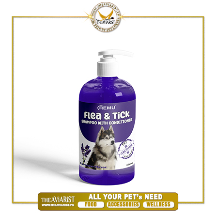 Groomer-Flea-Tick-Shampoo With Conditioner-Blue-600ml