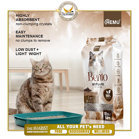 Remu-Bento-Cat-Litter-8.5kg-Brown